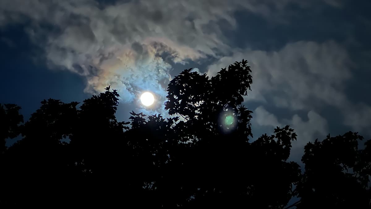 Did you see the Blue Moon last night? These readers did totnestoday